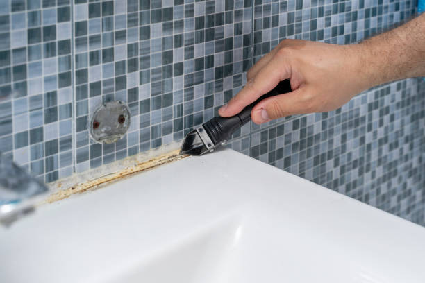 Best Mold Remediation for Specific Building Types in Limestone Creek, FL